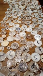 Close-Out Sale – Colonised Agar Plate Collection